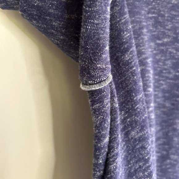 EILEEN FISHER 100% Organic Cotton Pullover Raglan Boxy Crewneck Sweatshirt Sz L - Picture 5 of 12